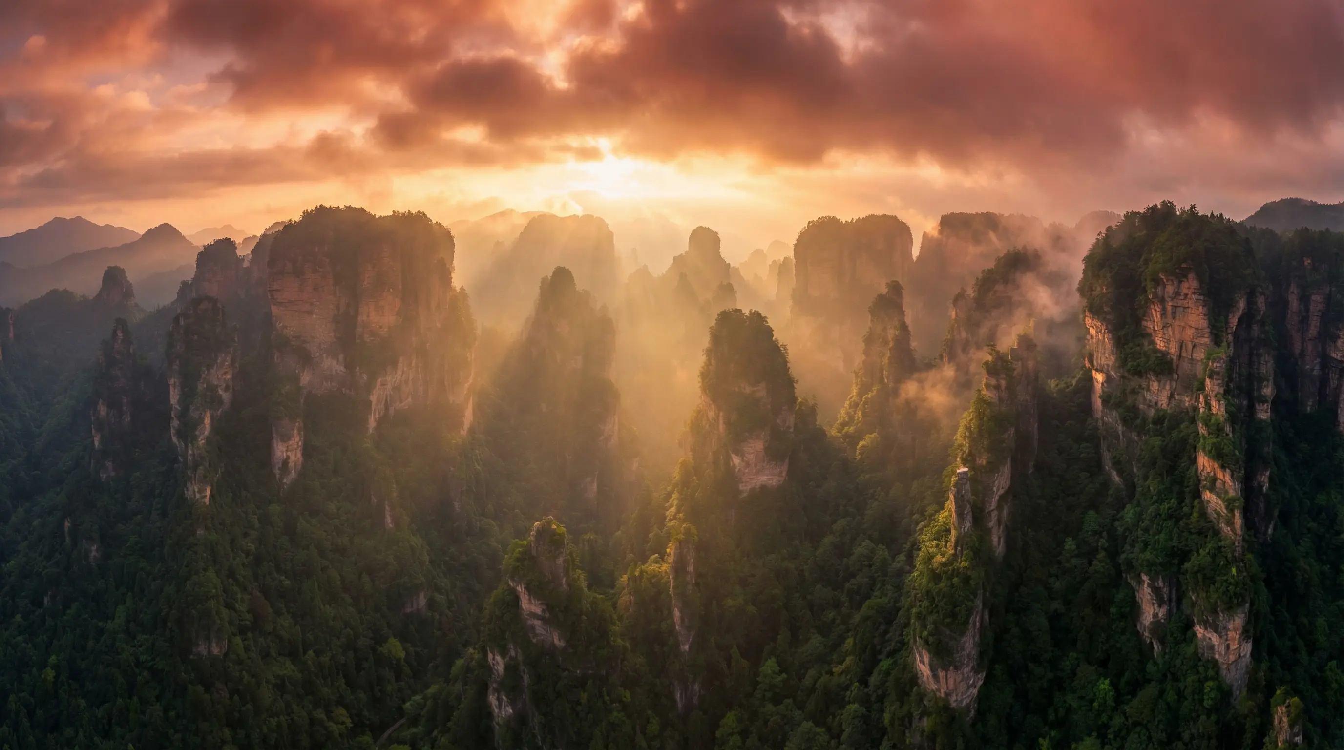 种子帝 自然风光视频封面
